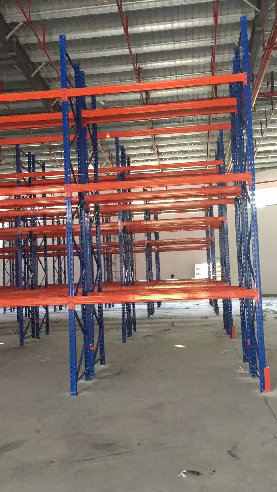 mmexport1496819203865.jpg